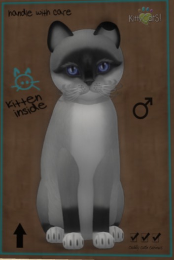 9T Foxie - Salt & Pepper Mask Midnight Sky Mysterious Small Illume Boo Boo Odyssey No 1 Two tone