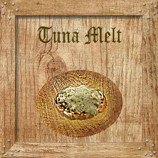 Tuna Melt Holz Textures