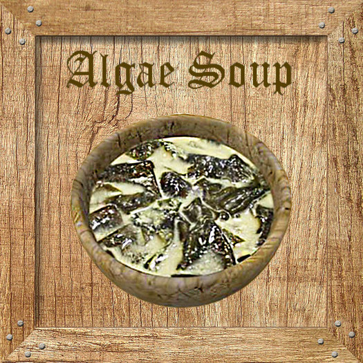Algae Soup Holz Textures
