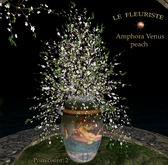 Fleuriste*Amphora Venus Peach