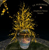 F*VenusBroom