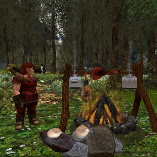 BINARY FAIRY DWARFIN CAMPFIRE FEAST  