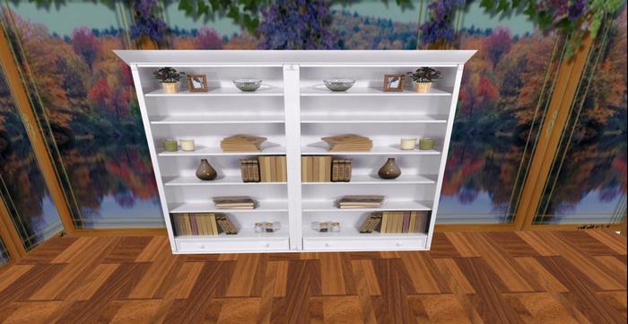 T.B. White Book Case