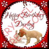 HBF61 Happy Birthday Darling (Wear Me)