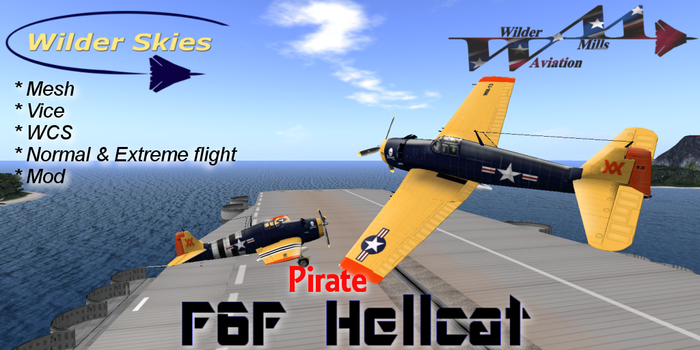 Wilder Skies F6F Hellcat -Air Pirate  BOXED