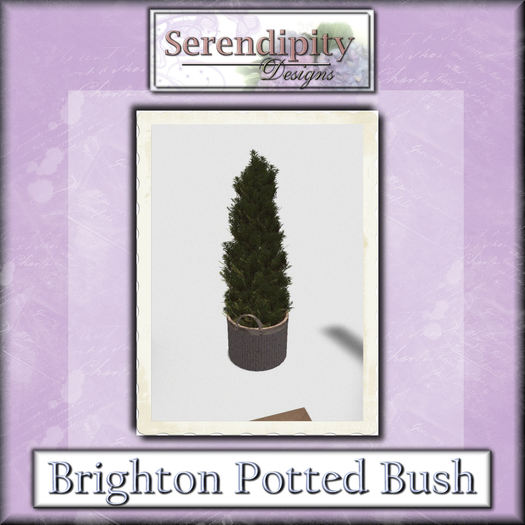 Serendipity Designs - Potted Bush