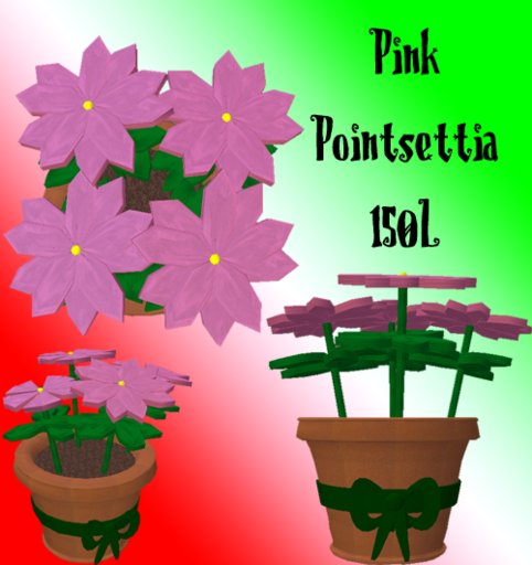 Fubar Pink Pointsettia