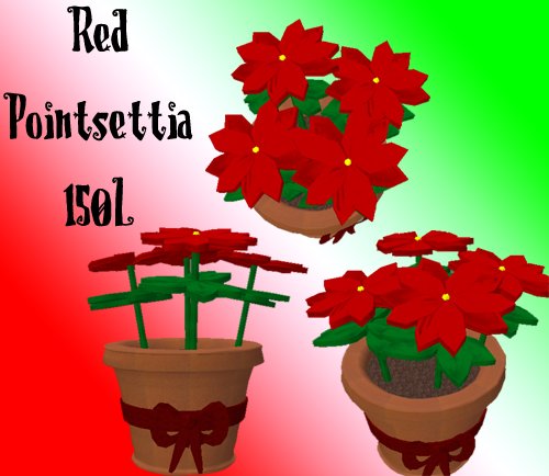 Fubar Red Pointsettia
