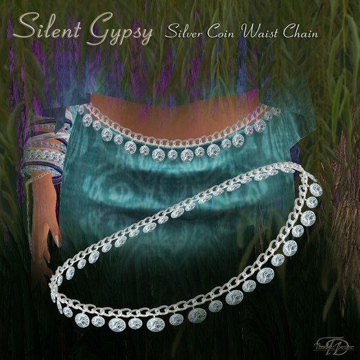 *TD* Silent Gypsy Silver Coin Waist Chain   BX