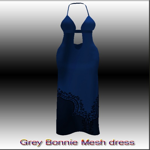 Blue Bonnie Mesh dress