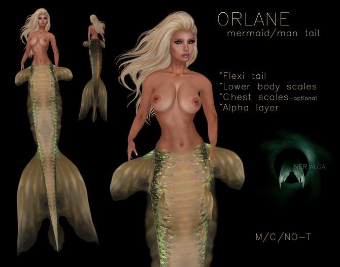 ::NERALGA:: ORLANE - Product Box