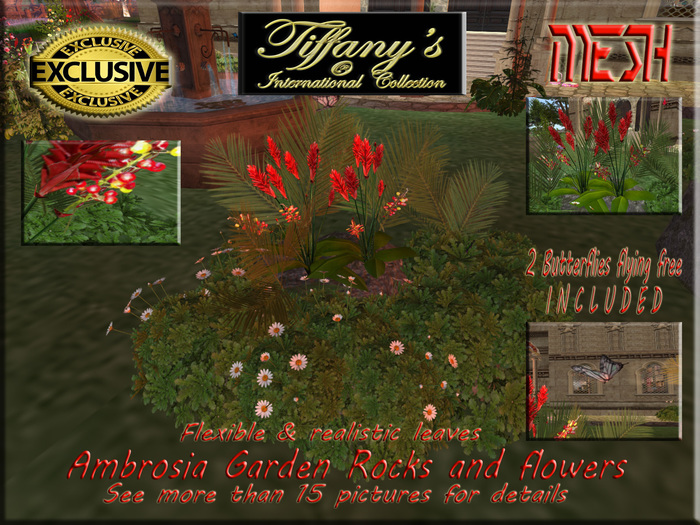AMBROSIA GARDEN FLOWERS ON THE ROCK-BOXED