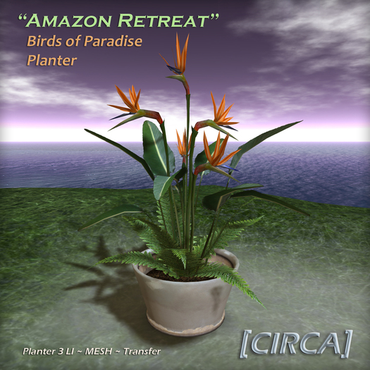 [CIRCA] - "Amazon Retreat" Tropical Planter - Paradise 