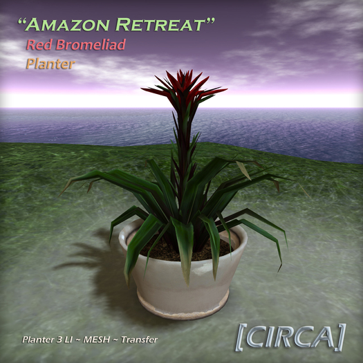 [CIRCA] - "Amazon Retreat" Tropical Planter - Red Bromeliad 