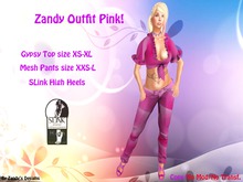 Zandy Outfit Pink+ SLink Heels