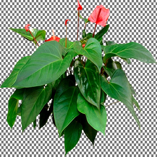 Flaming Flower
