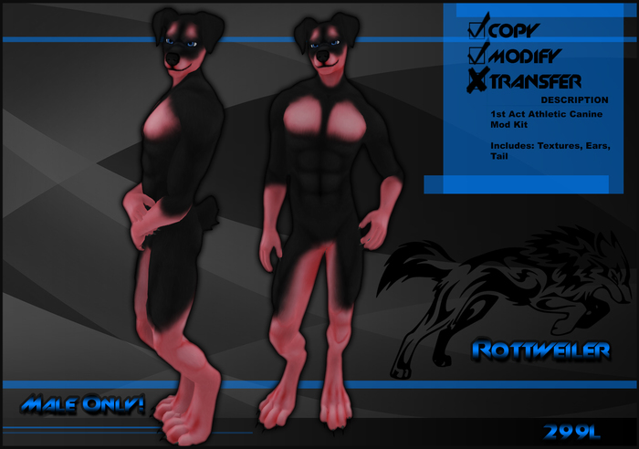 [Virtual Fuzz] Aardwolf
