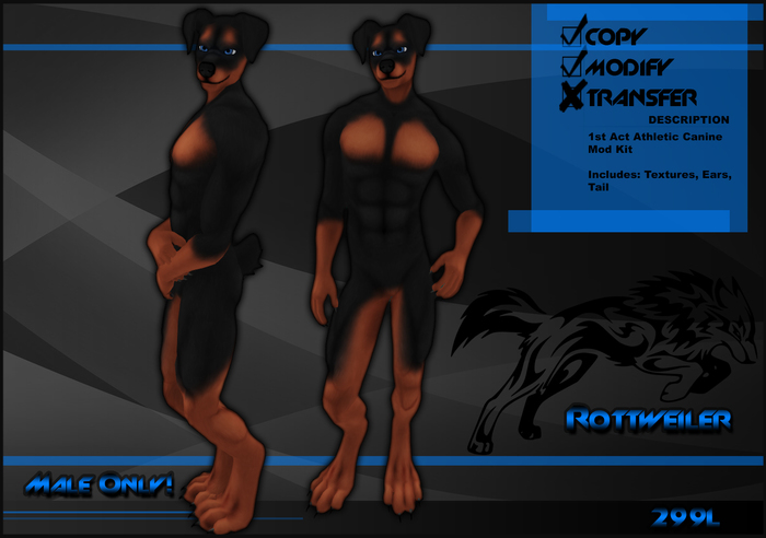 [Virtual Fuzz] Aardwolf