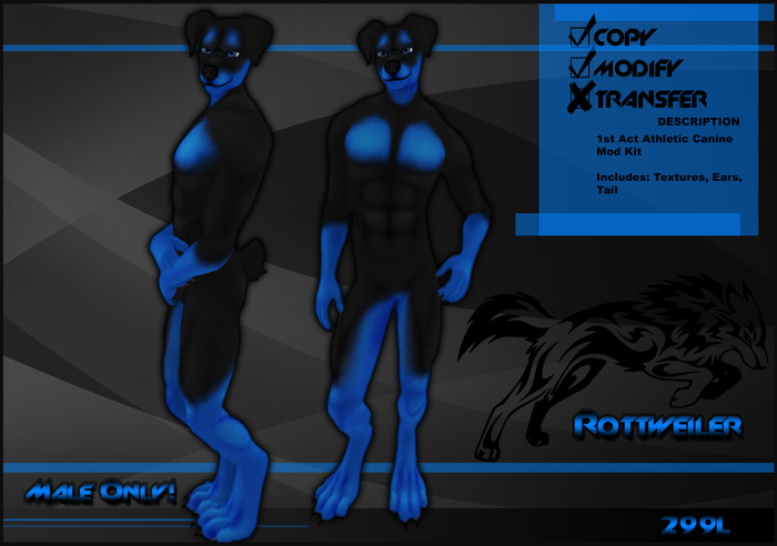 [Virtual Fuzz] Aardwolf