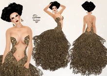 Terra d'ombrA ☼DORA