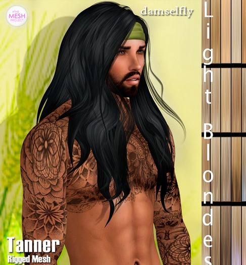 *~*Damselfly*~*Rainah Mesh Tropic