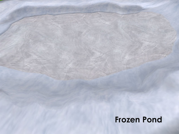 Frozen Pond