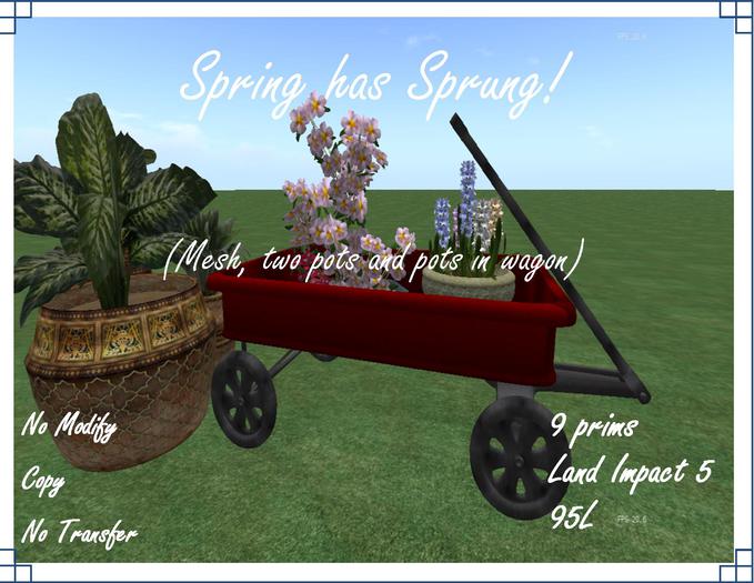 Spring has sprung