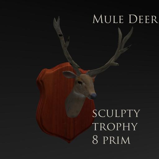 Mule deer  trophy