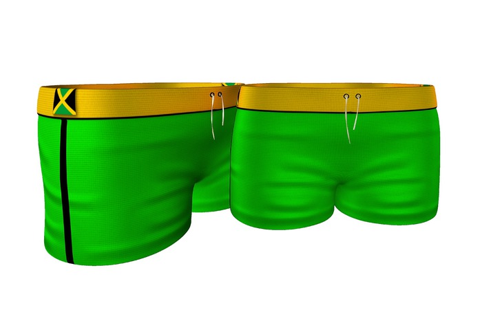 ::Net:: Miami Jamaica Swinwear Mesh Man