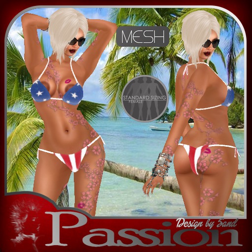 Sand Bikini"ana luisa"Top and Bottom USA flag
