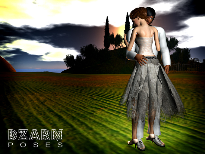 **DZARM Poses** /STAY HERE/