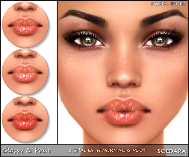 ~Soedara~ Lipstick Glossy & Pout {Salmons}