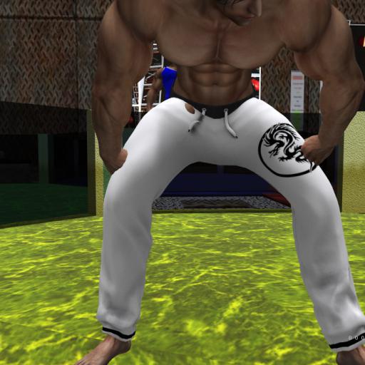  JTC Sweat Pants Dragon Circle [BOX] AESTHETIC 