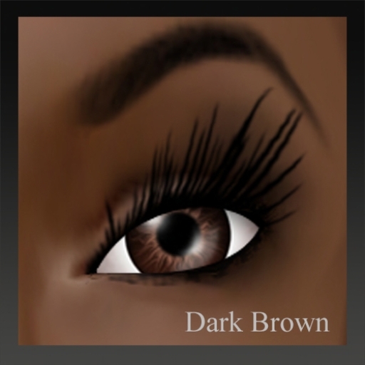 Eyes & Prim Lashes Value Pack