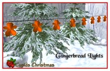 Gingerbread Lights
