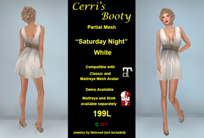 Cerri's Saturday Night DEMO