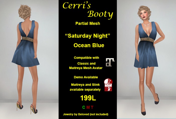 Cerri's Saturday Night DEMO