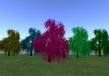 Enchanted forrest trees to add that extra special magic to any garden 