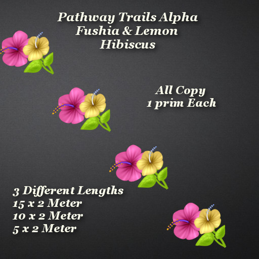 Fushia & Lemon Hibiscus Pathway