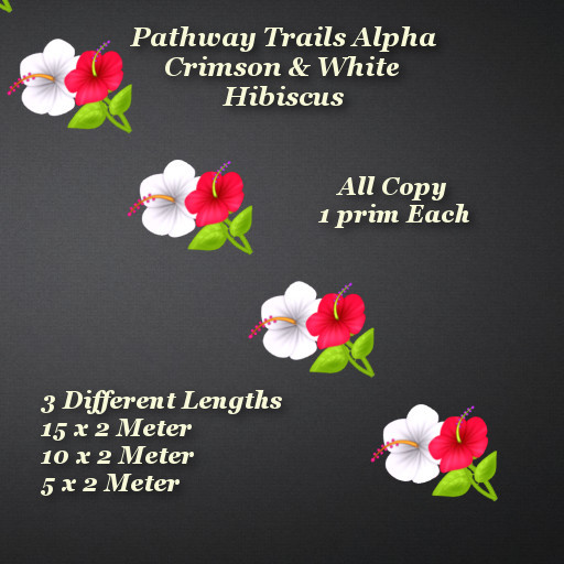 Crimson & White Hibiscus Pathway