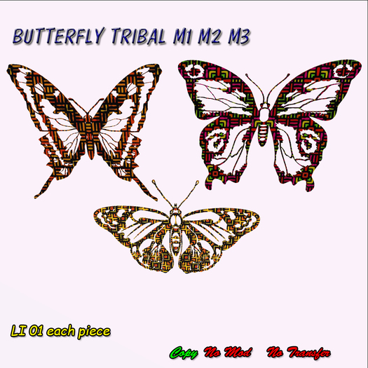 BUTTERFLY TRIBAL BOX