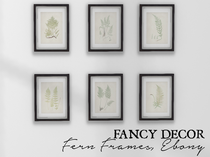 Fancy Decor: Framed Ferns (Ebony)