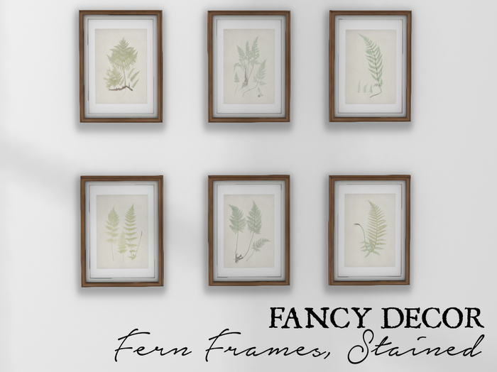 Fancy Decor: Framed Ferns (Mahogany)