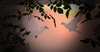 Weddingpodium 004