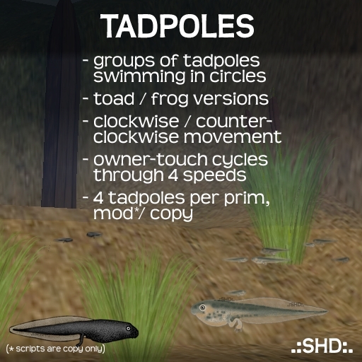 Tadpoles (of frogs and toads) .:SHD:.
