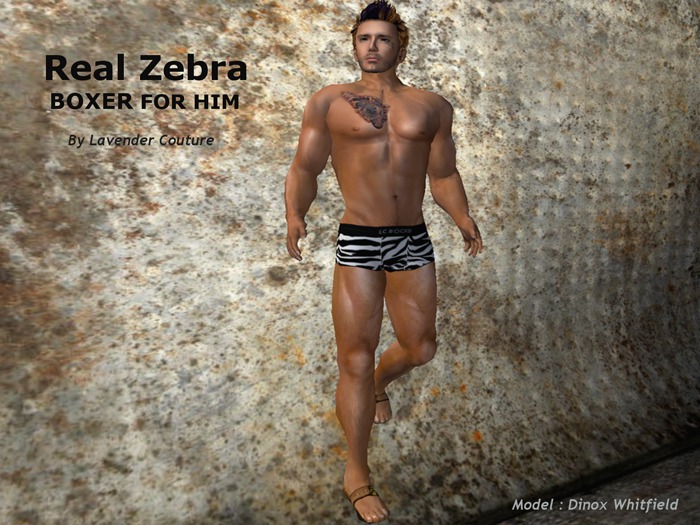 Real Zebra - Boxer For Him