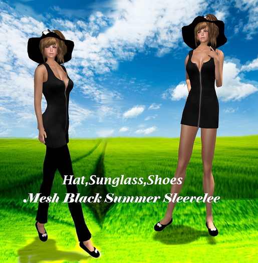 Black Summer Sleevelee Box