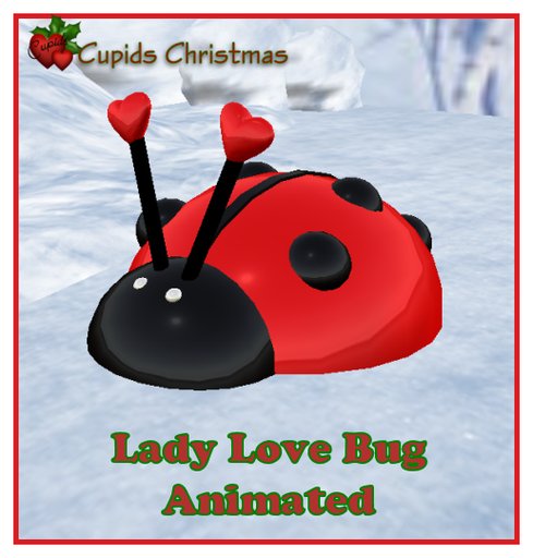 Animated Lady Bug