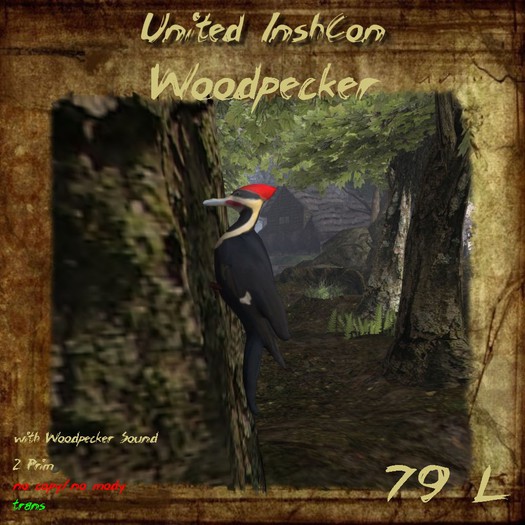 *UI* Woodpecker v