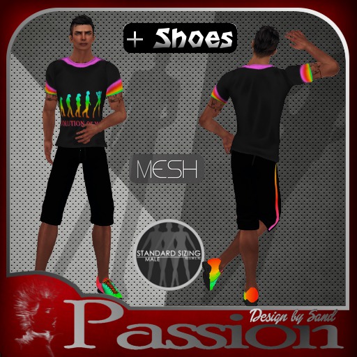 Sand "boris"Mesh  tenue evolution